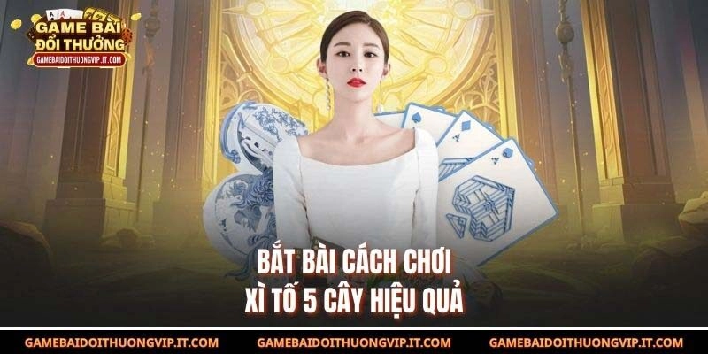 Bắt bài cách chơi Xì Tố 5 cây hiệu quả