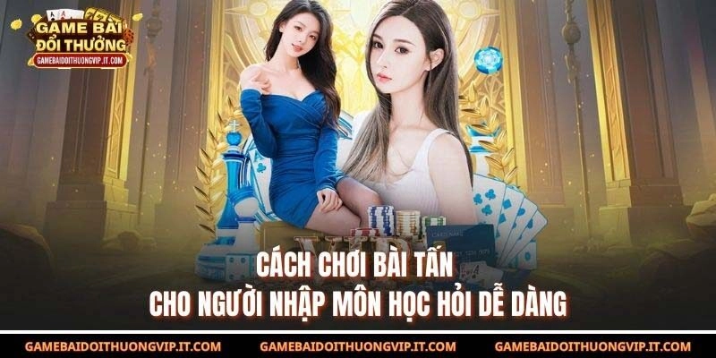 Cách Chơi Bài Tấn Cho Người Nhập Môn Học Hỏi Dễ Dàng
